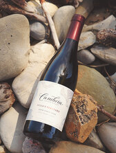 Cambria Julia's Vineyard Pinot Noir Bottle